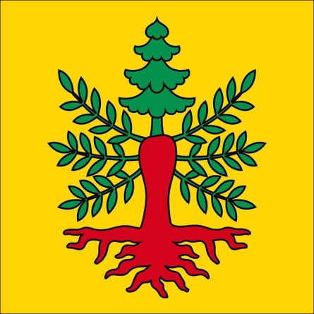 Studen BE flag